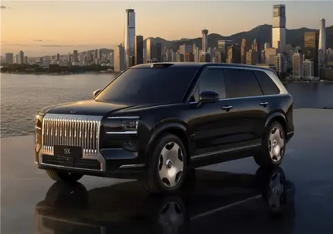 网友关心的极氪 9X DHE20TDE 耐用性怎么样?